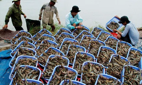 Quý II/2021: Xuất khẩu thủy sản tiếp tục tăng mạnh, dự báo tăng 10%Quý II/2021: Xuất khẩu thủy sản tiếp tục tăng mạnh, dự báo tăng 10%