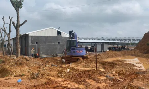 Phú Thọ: Chủ tịch huyện Tam Nông ở đâu trước sai phạm tại dự án Nhà máy gạch Takao Granite?