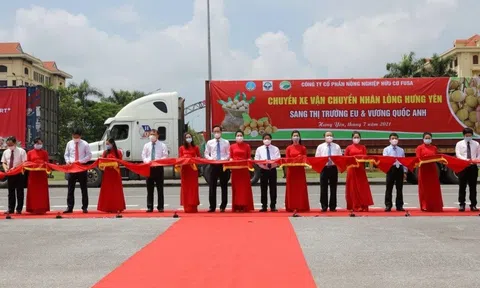 Những tấn nhãn đầu tiên chuẩn bị xuất khẩu sang thị trường Châu Âu