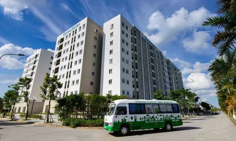 CEO Group bị phạt, truy thu số tiền lên tới hơn 1,4 tỷ đồng nộp vào ngân sách nhà nước
