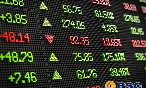 Thị trường chứng khoán Việt Nam đứng thứ hai thế giới