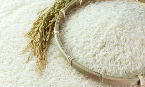 Xuất khẩu gạo giảm mạnh do tình hình dịch bệnh phức tạp