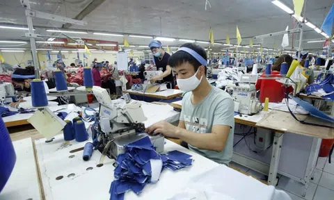 Dệt may Việt Nam: Đối mặt với nguy cơ đình trệ sản xuất