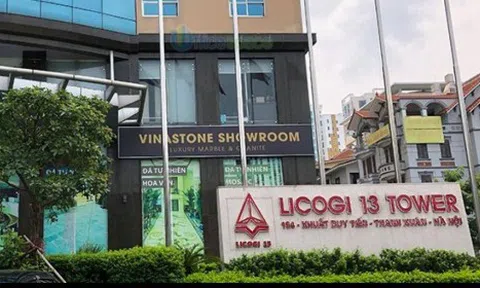 Tổng công ty Licogi - CTCP, CN Licogi số 1  và hơn 600 doanh nghiệp nợ 173 tỷ đồng các loại bảo hiểm