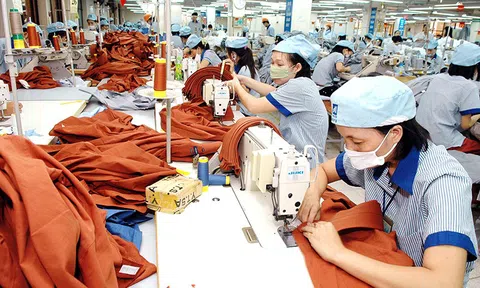 EVFTA: Cầu nối thương mại Việt Nam - EU