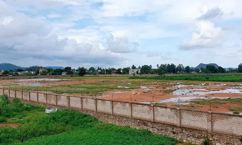 Thanh Hóa: 79 dự án chậm tiến độ hoặc không sử dụng đất