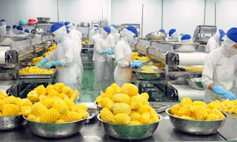 Khoá học Hướng dẫn thực hành 5S tại doanh nghiệp