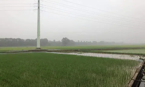 Hà Nội: Kiên quyết thu hồi các dự án bất động sản chậm triển khai