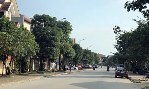 Hợp đồng chuyển nhượng đất có vô hiệu khi không được công chứng?
