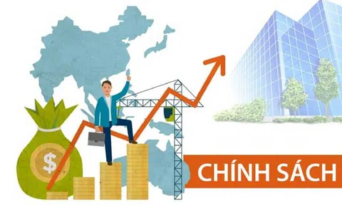 Chính sách là gì?