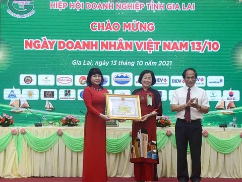 Gia Lai: Doanh nhân Nguyễn Thị Sen tái đắc cử Chủ tịch Hiệp hội Doanh nghiệp tỉnh lần thứ III