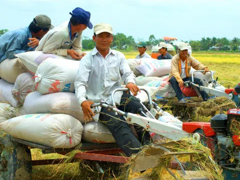 Ngành nông nghiệp: Đầu tư công cho nghiên cứu khoa học sẽ đạt 5% tổng đầu tư