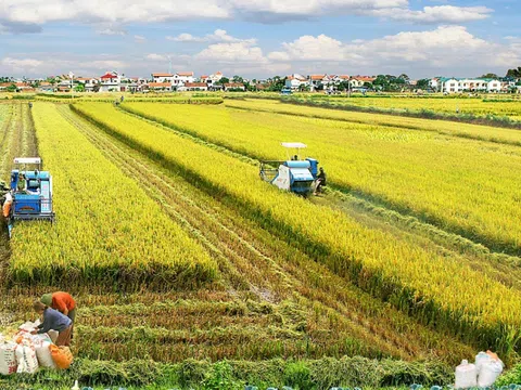 ĐBSCL phát triển thịnh vượng trong biến đổi khí hậu: Những giải pháp từ khoa học