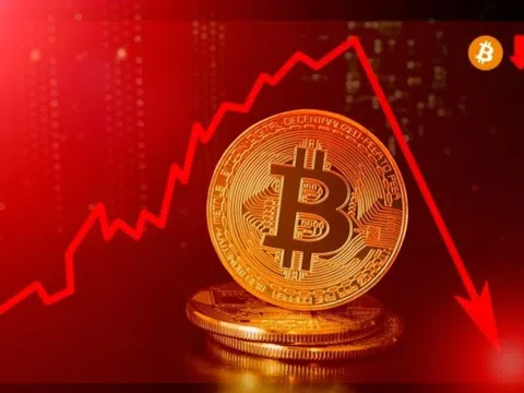 Bitcoin đã mất hơn một nửa giá trị từ đầu năm