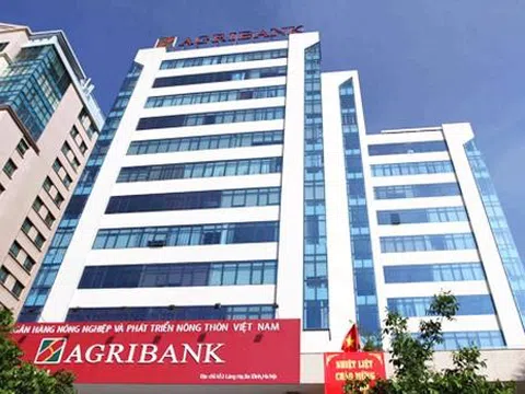 Agribank thu giữ 9 lô đất tại Thủ Đức