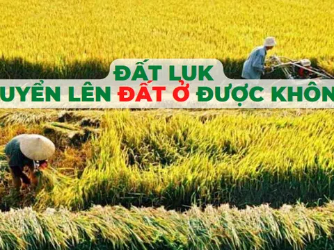 Đất LUK là gì, có chuyển lên đất ở được không?