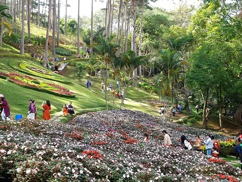 Lâm Đồng: Nhiều dự án quản lý bảo vệ rừng xin bổ sung mục tiêu… kinh doanh dịch vụ du lịch sinh thái, nghỉ dưỡng, giải trí