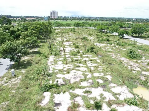 Thửa đất 1.000m2 có 15 người cùng đứng tên