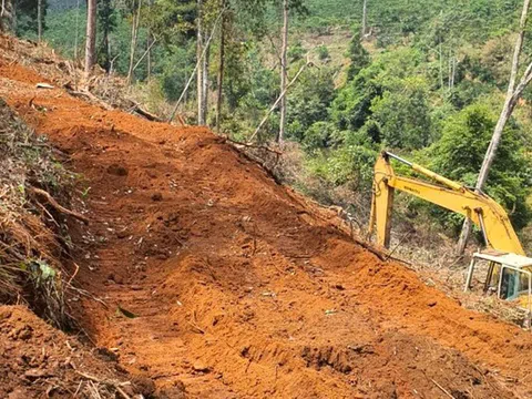 Đề nghị Công ty cổ phần Đầu tư du lịch Sài Gòn - Đại Ninh xử lý đất lâm nghiệp bị lấn, chiếm, xây dựng trái phép