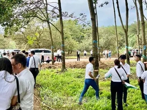 Môi giới tung chiêu "thao túng tâm lý", lừa khách đi xem đất