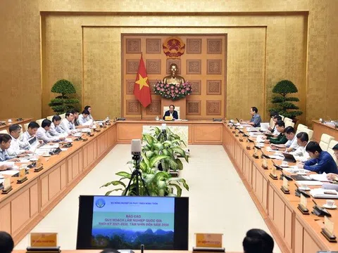 Hội đồng thẩm định thông qua Quy hoạch lâm nghiệp quốc gia