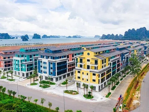 Hủy quyết định chấp thuận chủ trương dự án Sonasea Vân Đồn Habor City phân khu 2 của CEO Group