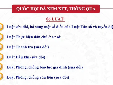 6 Luật được Quốc hội thông qua tại Kỳ họp thứ 4