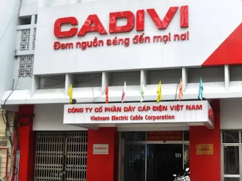 Nhiều khả năng Cadivi không còn là công ty đại chúng