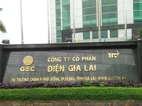 Chỉ trong 10 ngày, Điện Gia Lai giải thể 02 công ty con