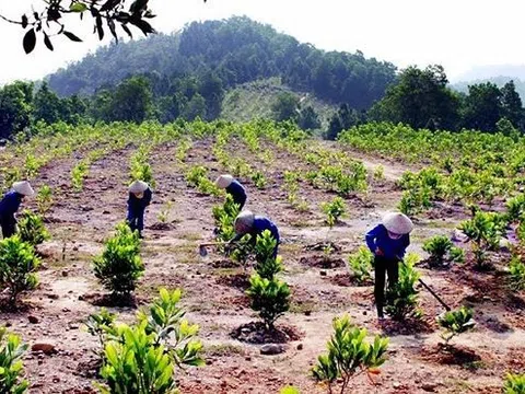 Hành vi nào bị nghiêm cấm trong Dự thảo Luật Đất đai (sửa đổi)?