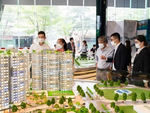 Tháng 1/2023, số lượng doanh nghiệp bất động sản thành lập mới giảm 65%