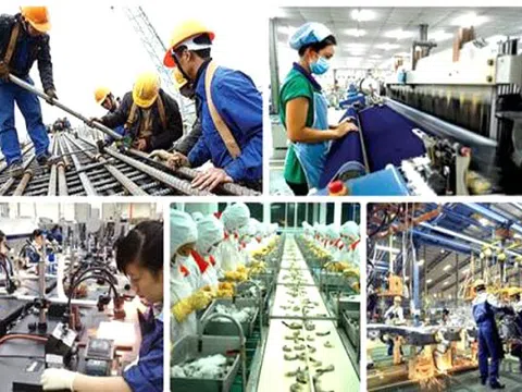 Những xu hướng chính trong năm Quý Mão