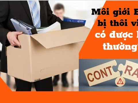 Môi giới bất động sản bị cho thôi việc, cắt hợp đồng có được bồi thường?