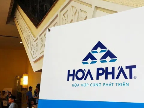 Hơn 160.000 cổ đông Hòa Phát sẽ không được chia cổ tức bằng tiền mặt