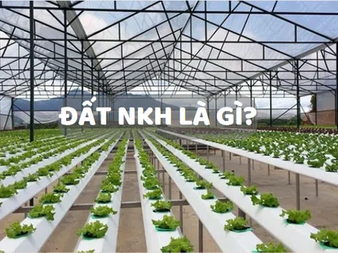 Đất NKH là gì? Có được xây nhà trên đất NKH?