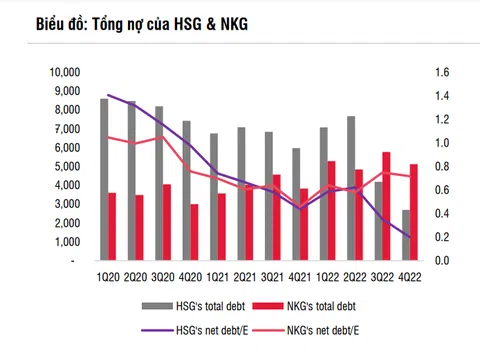 SSI Research nhận định gì về cổ phiếu Hoa Sen, Nam Kim?