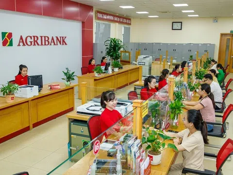 Agribank rao bán hàng loạt khu đất lớn tại TP.HCM, Khánh Hòa, Bình Thuận để thu hồi nợ