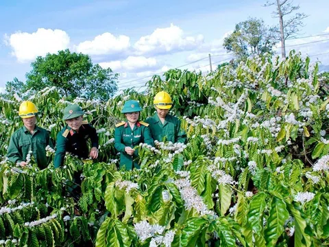 Khẳng định thương hiệu cà phê Việt Nam trên thị trường thế giới