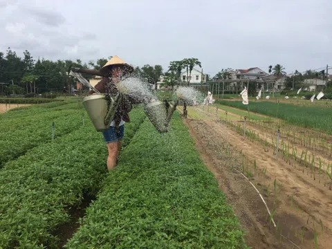 Quy định mới sẽ mở ra cơ hội cho đất sử dụng đa mục đích