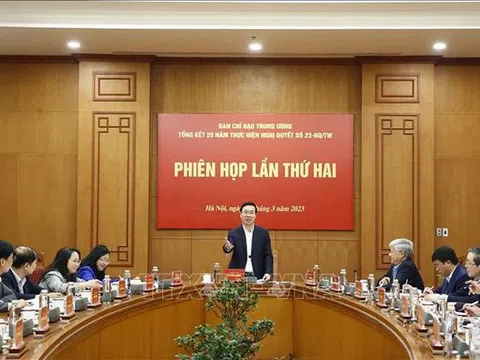 Chủ tịch nước chủ trì họp Ban Chỉ đạo tổng kết 20 năm thực hiện Nghị quyết về phát huy sức mạnh đại đoàn kết toàn dân tộc