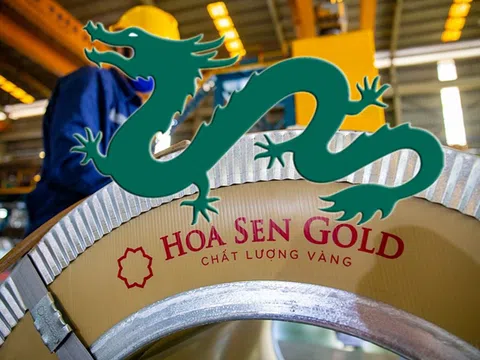 Dragon Capital chi hàng chục tỷ, chính thức trở thành cổ đông lớn của Hoa Sen
