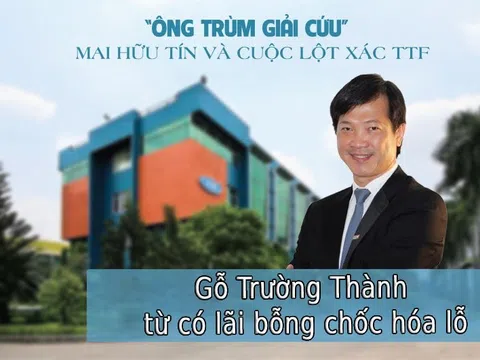 Công ty kiểm toán vào cuộc, Gỗ Trường Thành từ có lãi bỗng chốc hóa lỗ hàng tỷ đồng