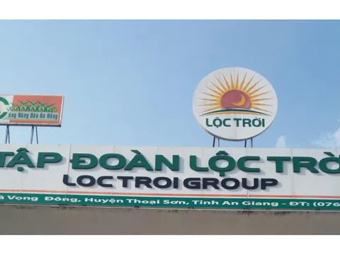 Nghịch lý của Lộc Trời Group: Doanh thu tăng, vẫn báo lỗ