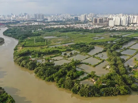 Diễn biến mới vụ tranh chấp liên quan siêu dự án 92 ha giữa Quốc Cường Gia Lai và Sunny Island