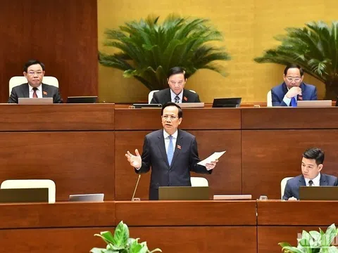 Bộ trưởng Đào Ngọc Dung: Thu bảo hiểm xã hội bắt buộc với các chủ hộ kinh doanh cá thể là sai về chủ trương