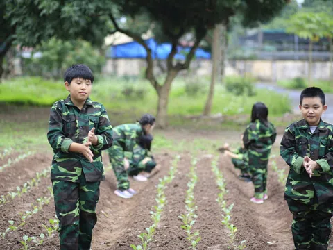 Mở ra ồ ạt, tour trại hè, học kỳ quân đội bớt ‘nóng’