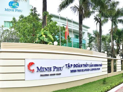 MPC “đi giật lùi”