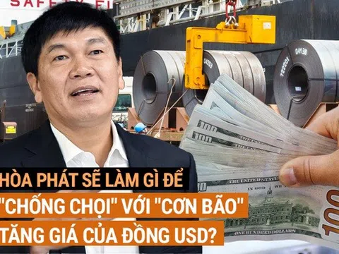 “Ôm” khối nợ vay USD lớn, Hòa Phát có bớt khó khi tỷ giá ổn định?