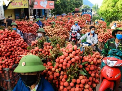 Bất ngờ “thủ phủ vải thiều” Bắc Giang tăng trưởng kinh tế 10,94%, đứng thứ 2 cả nước