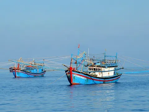 Ngăn chặn khai thác hải sản bất hợp pháp